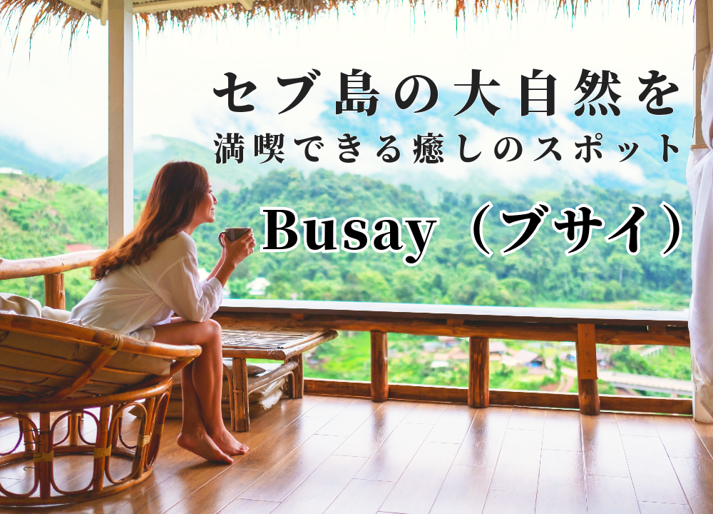 ブサイサムネイル画像