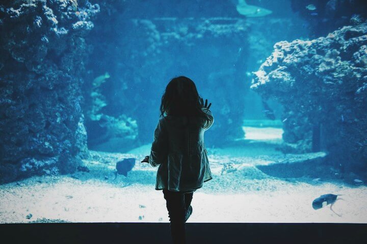 子ども大喜び！セブ島で出会うどうぶつ＆海の生きもの体験【夏休みおすすめスポット2選】