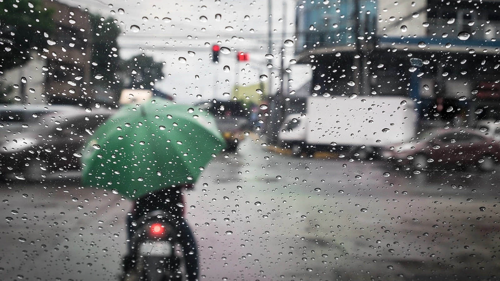 雨の日の服装を示すセブの写真