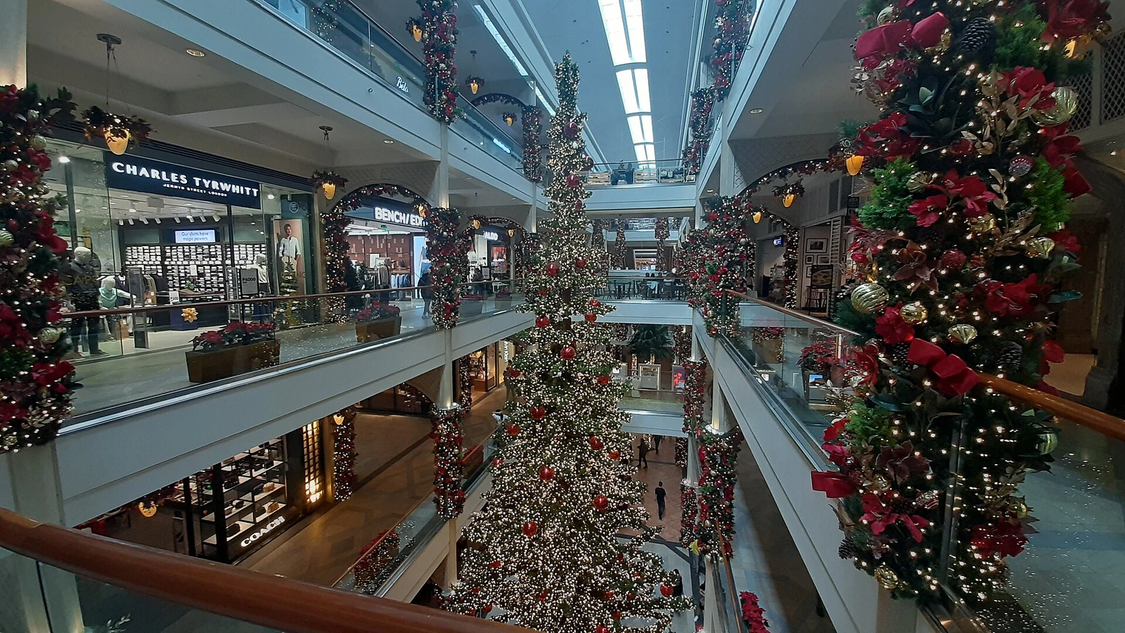 9月|Ber Monthsとクリスマスシーズン開始を示すセブの写真