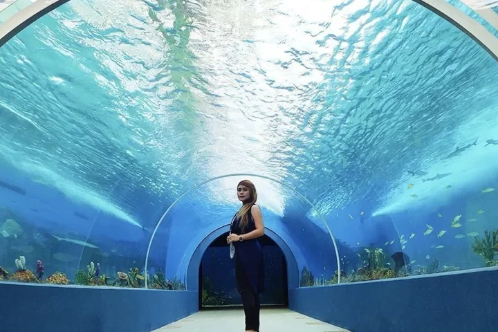 結論｜午前にOcean Park、午後にSM Seasideを回ると一日過ごしやすいを示すセブの写真