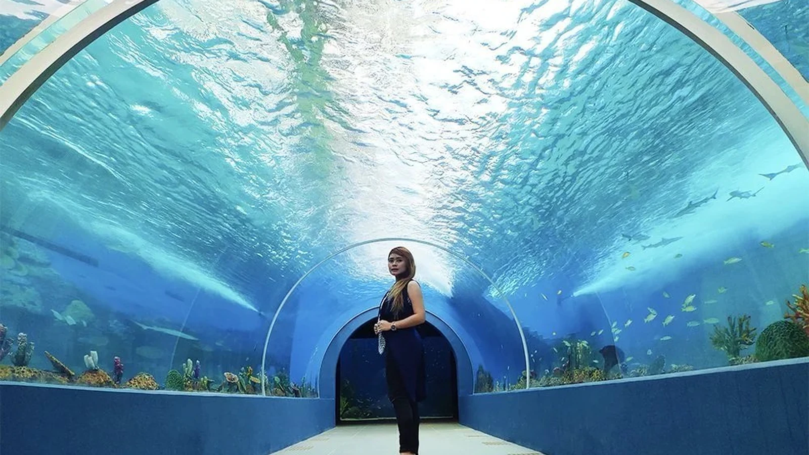 結論|午前にOcean Park、午後にSM Seasideを回ると一日過ごしやすいを示すセブの写真