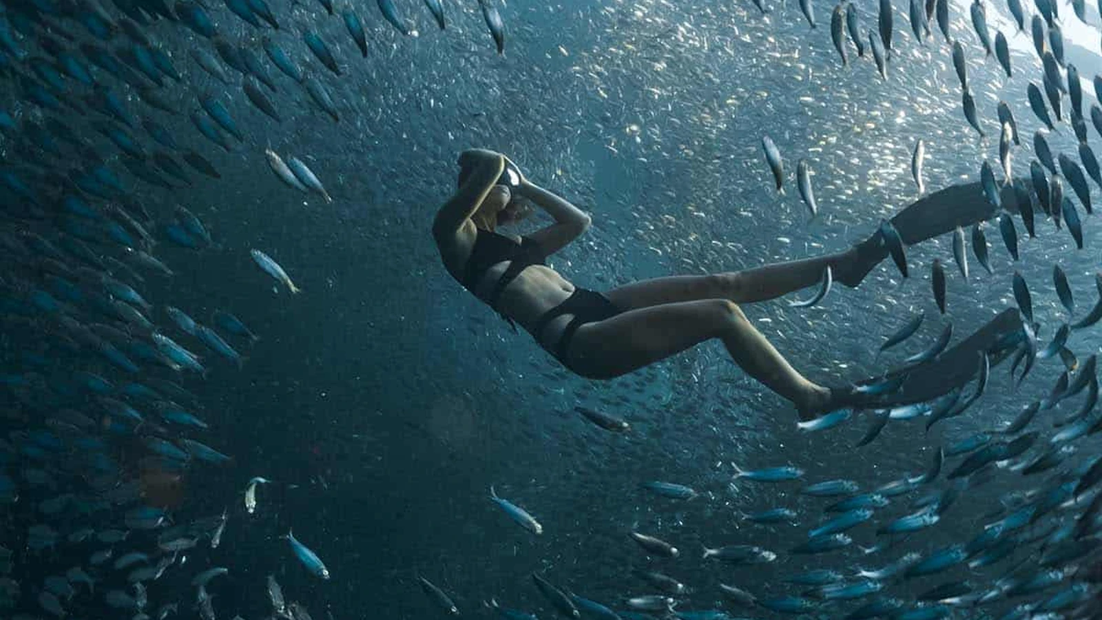 結論|イワシトルネードだけなら日帰り、海と町を楽しむなら宿泊がおすすめを示すセブの写真