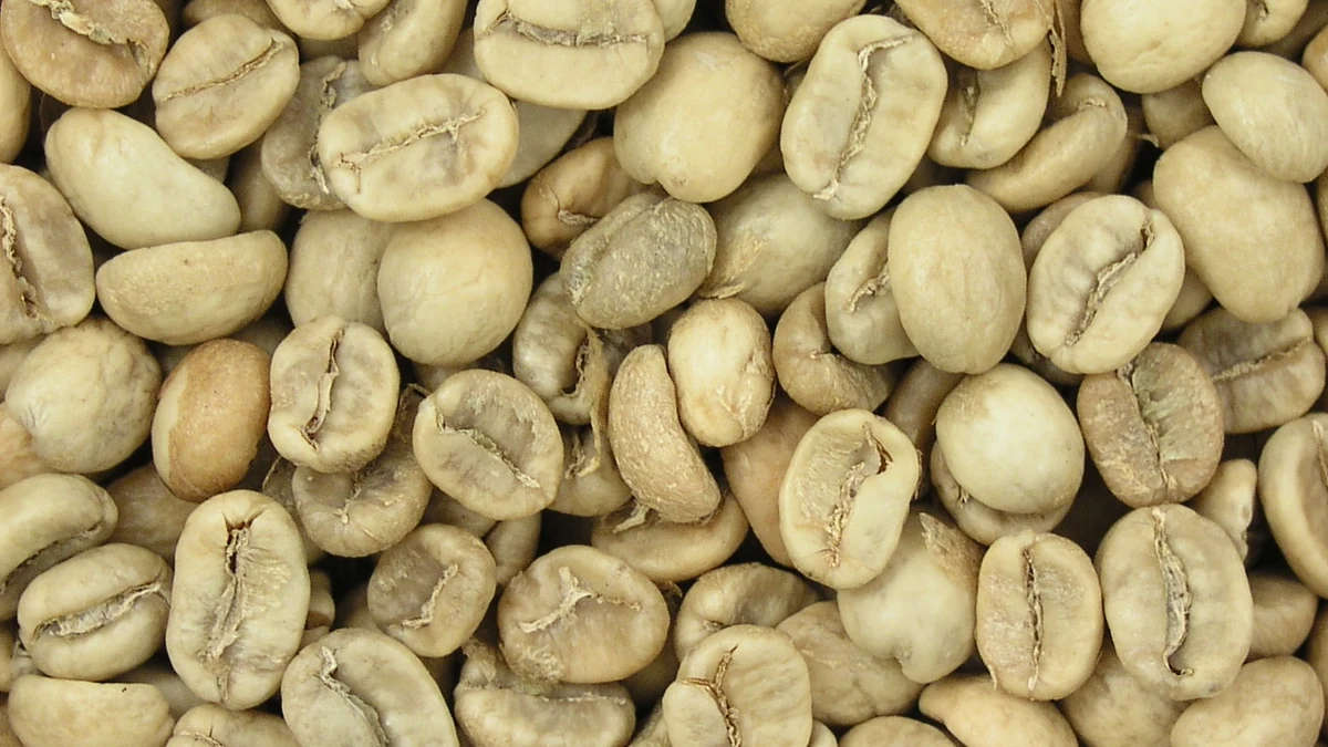 セブITパーク Specialty Coffee【2026年版】｜Bean・Roaster・Pour Overで選ぶCafeを確認する
