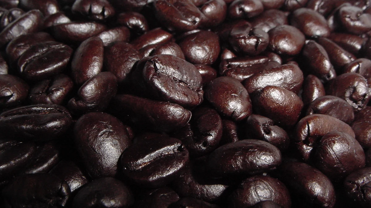 Civet Coffee セブ・マクタンニュータウン｜コーヒーの種類・豆・メニューを知る