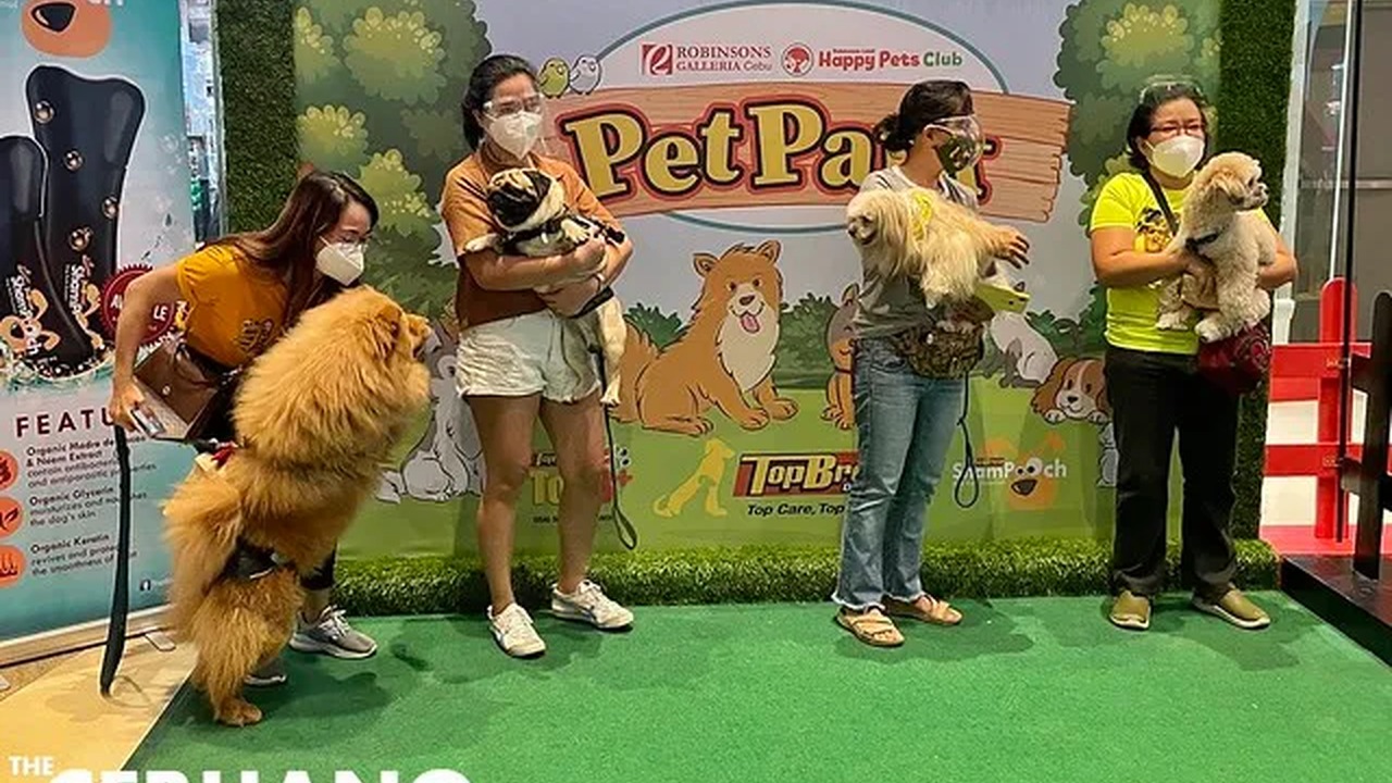 Galleria Cebuのペット向け施設｜Pet Park・用品店・動物向けサービスを確認する