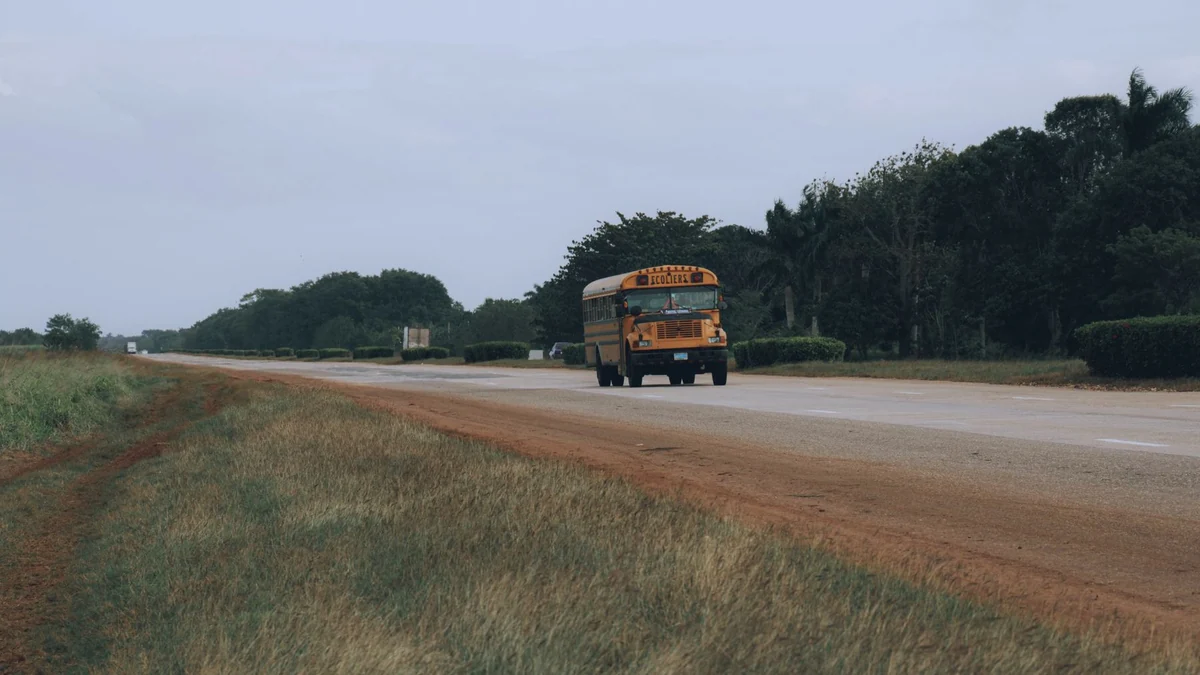 道路を走るバス