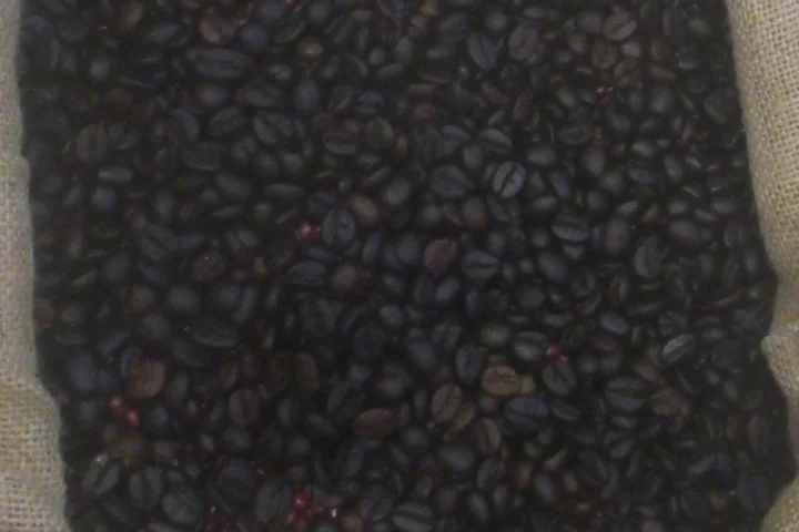 cebu coffee