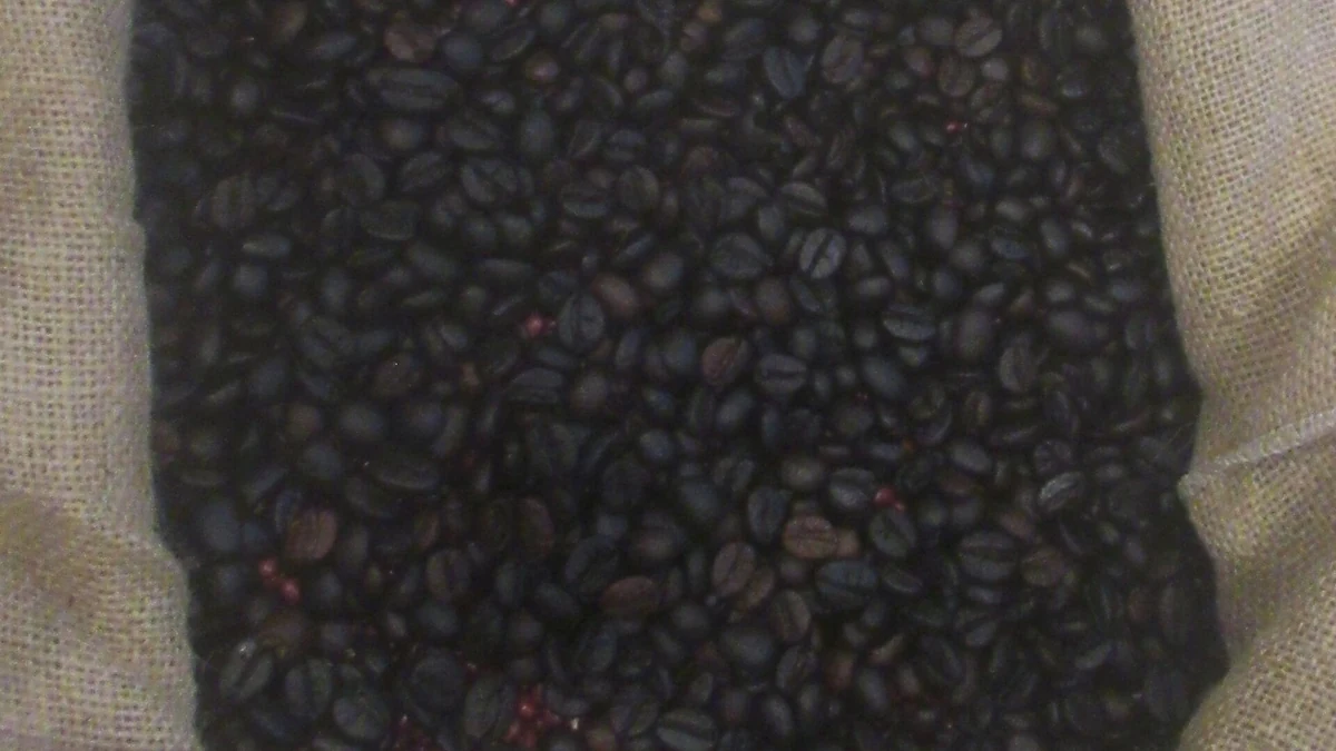 アヤラセンターセブ・セブ・ビジネス・パークのLocal Cafe【2026年版】｜Cebu発Coffee Brandを比べる