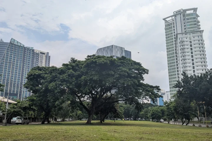 Cebu Business Park Central ParkとOpen Space｜20％のGreen Spaceを実際の場所から整理