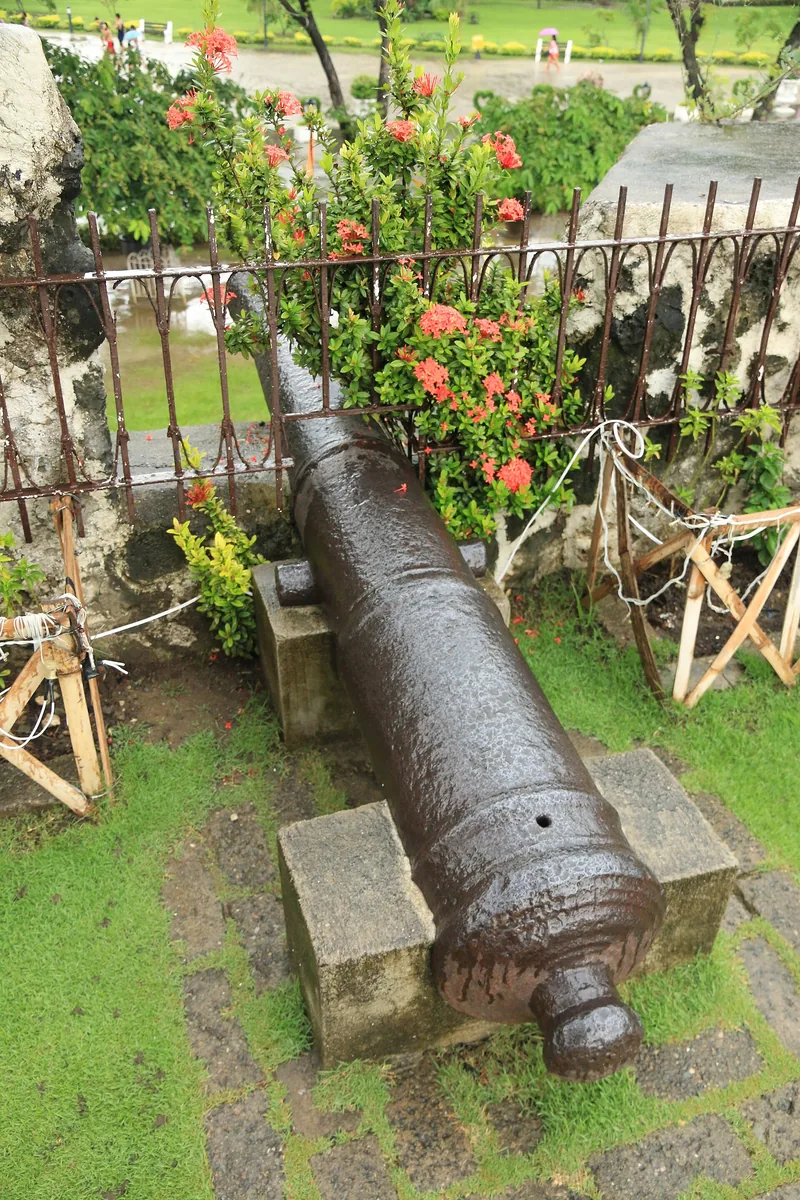 Fort San Pedroの大砲