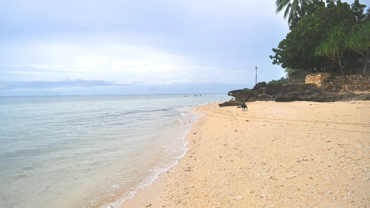 セブ島北西部のタブエラン・トゥブラン観光｜ビーチ・湧水・港を巡る