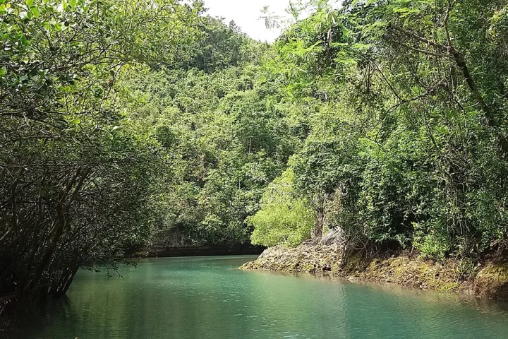 緑に囲まれたボホ川の水面