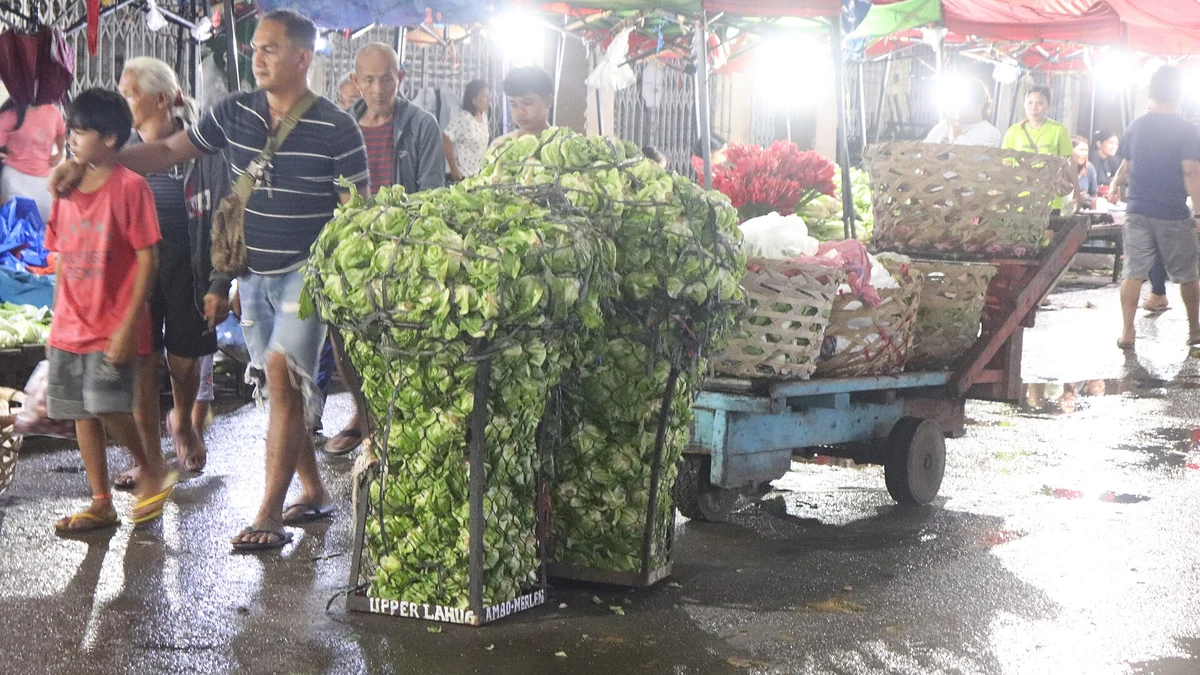夜のCarbon Marketで野菜を運ぶ台車