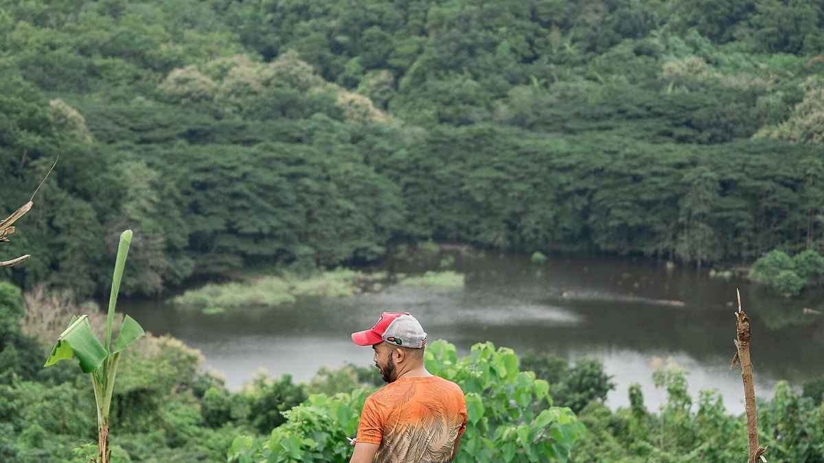 ブヒサン周辺を含むセブ島中央部の森林