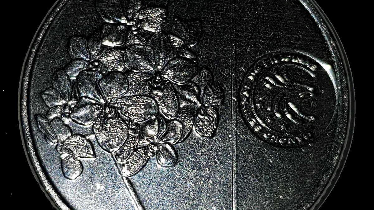 旅行予算に使う現行世代のフィリピン硬貨