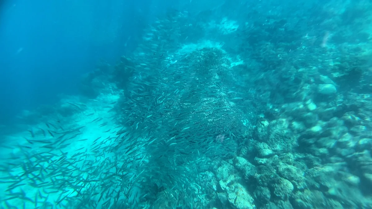 モアルボアルの海岸