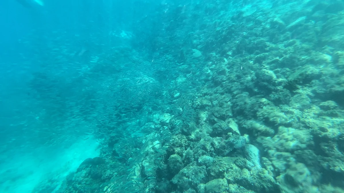 Panagsama Beach