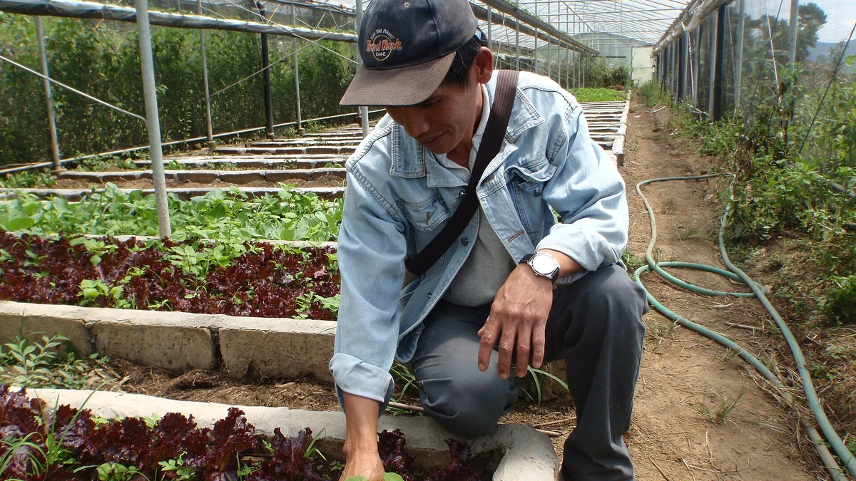 フィリピンの高地農園で野菜を育てるFarmer