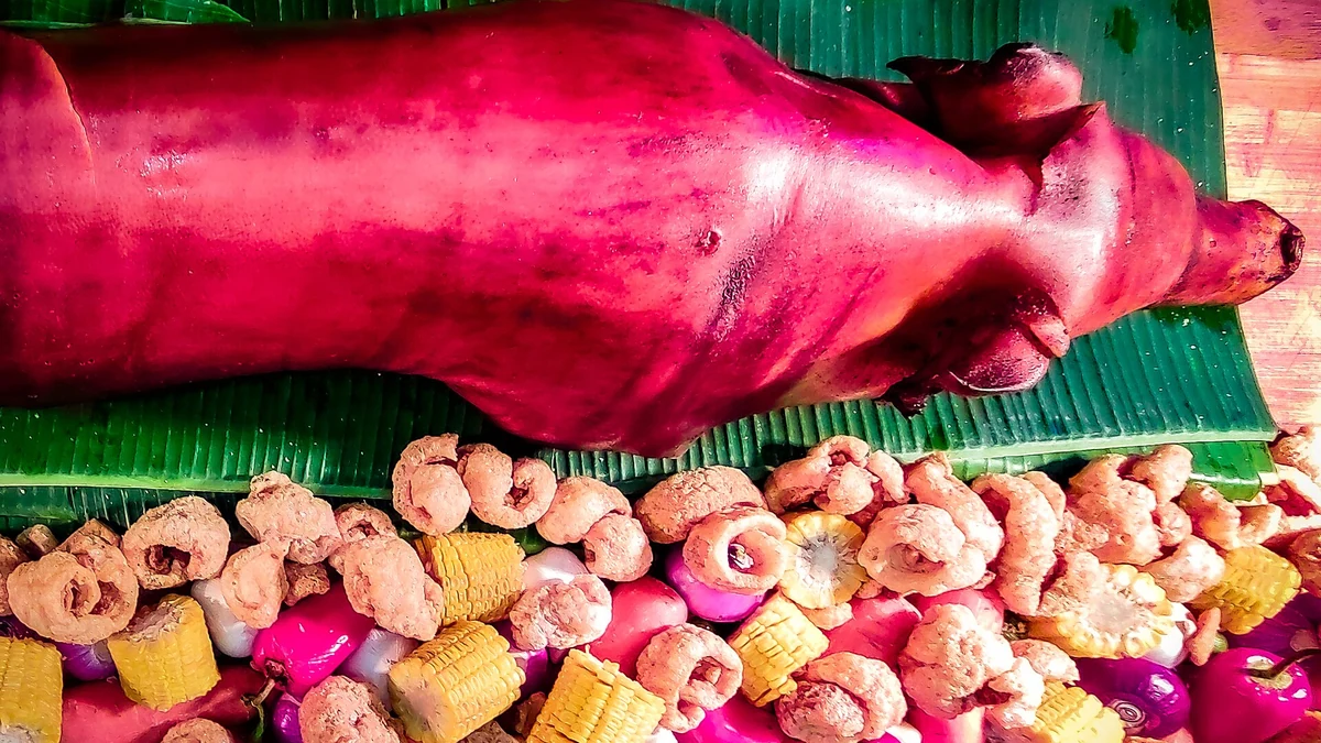 Cebu Lechon