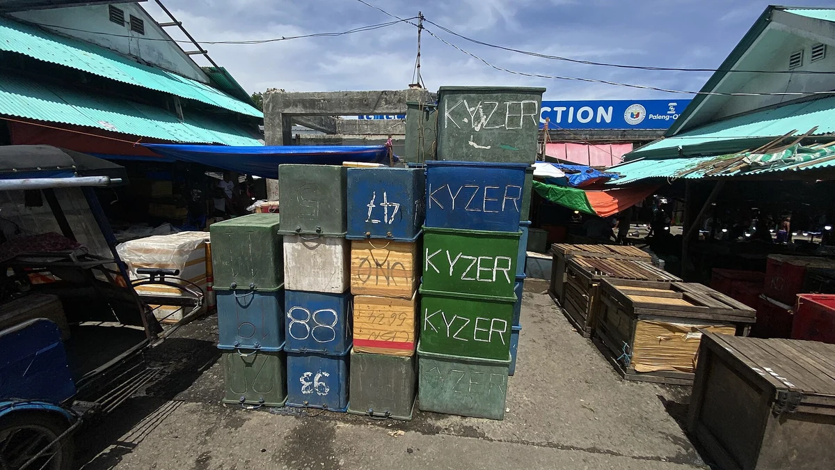 セブ州Toledo City Public Marketに置かれた魚用の保冷ボックス