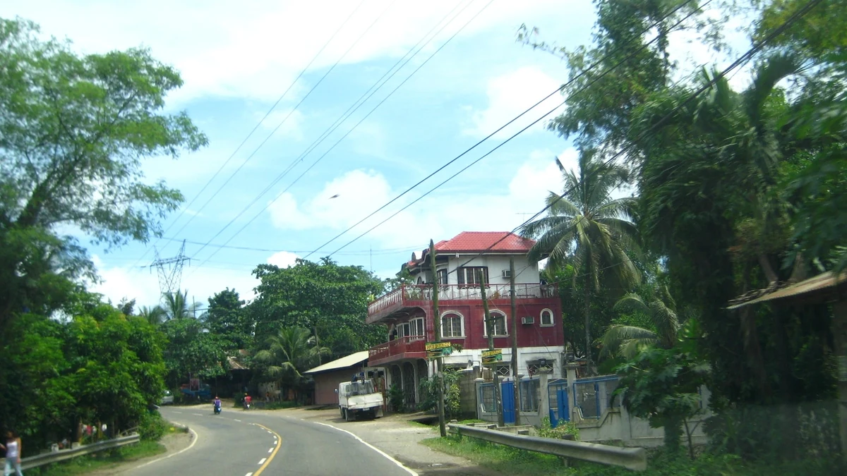 Cebu-Toledo Road(West側の道路)