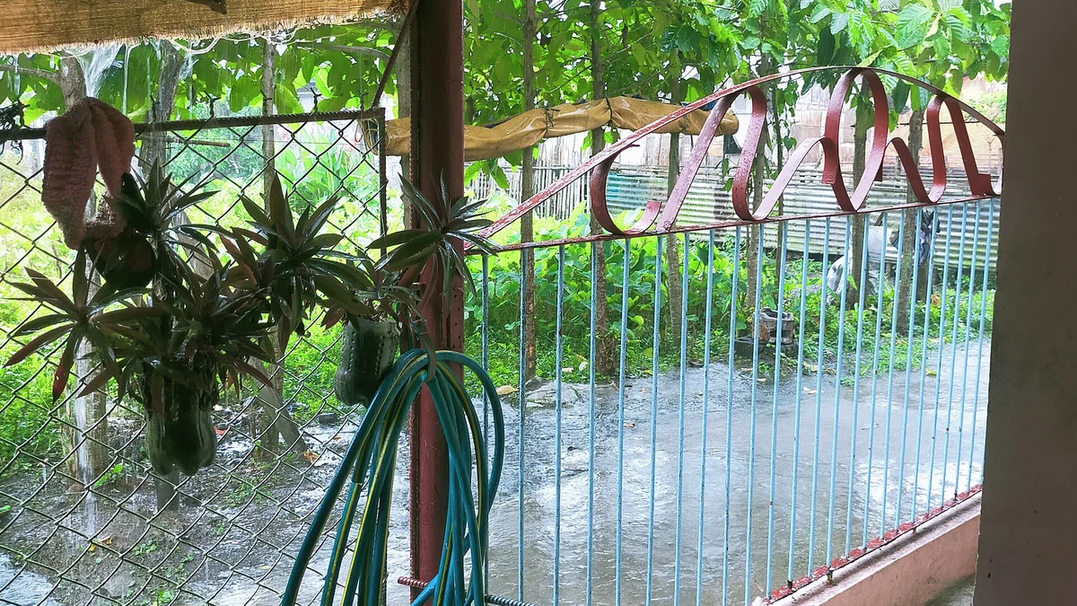 敷地の門の前にたまった雨水
