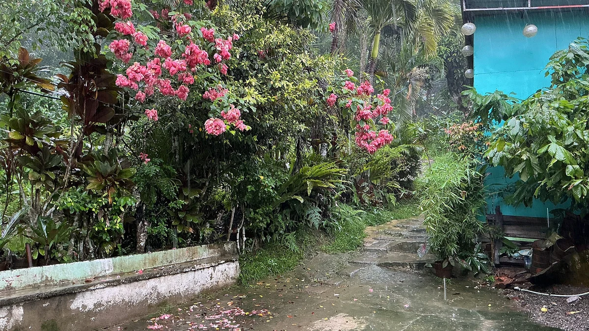 セブ旅行は何月が雨？雨季・乾季では分からない地域差と時間帯