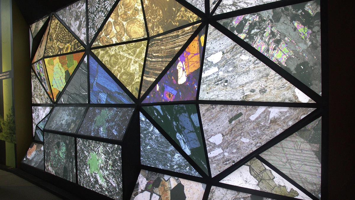 一人の速度で展示を見られるMuseum