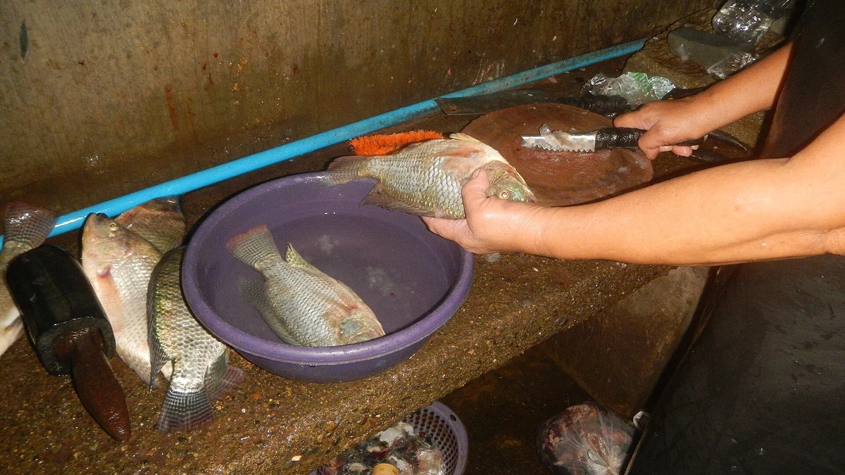 フィリピンの公設市場の魚売り場