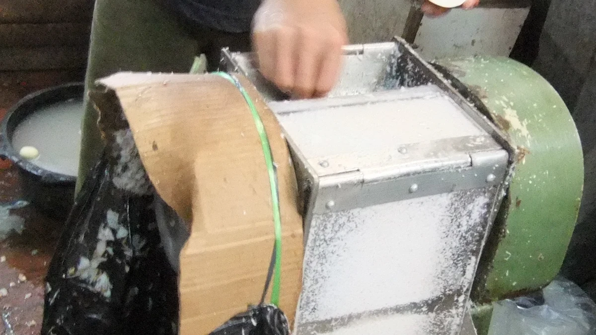 ココナッツミルクを作るために削る作業