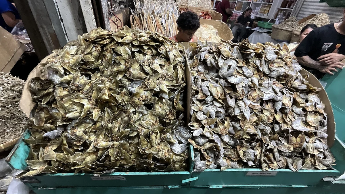ダンギットとブワドは同じ？セブの魚を塩と天日で保存する