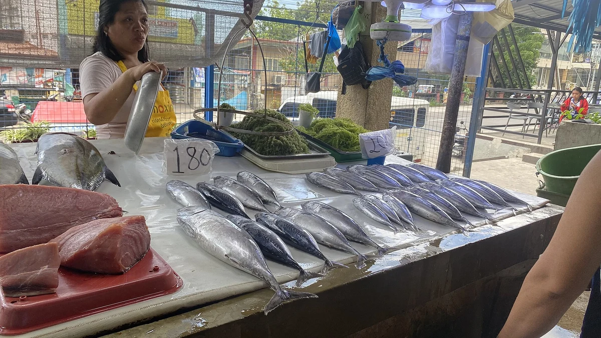 魚を並べて売る市場の売り手