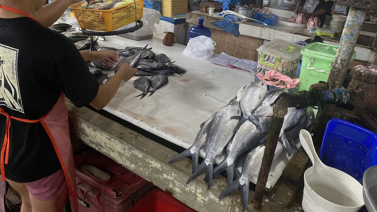 鮮魚を扱う市場の通路