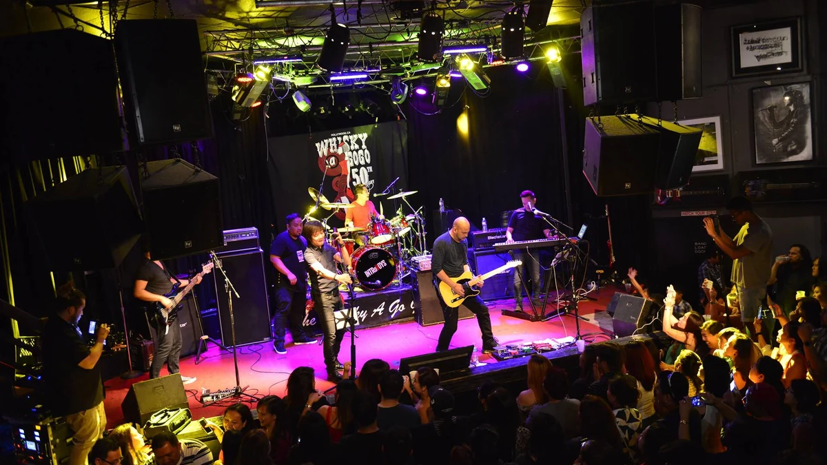 ビサヤ音楽とは？セブアノ語の歌が世界へ届くまで