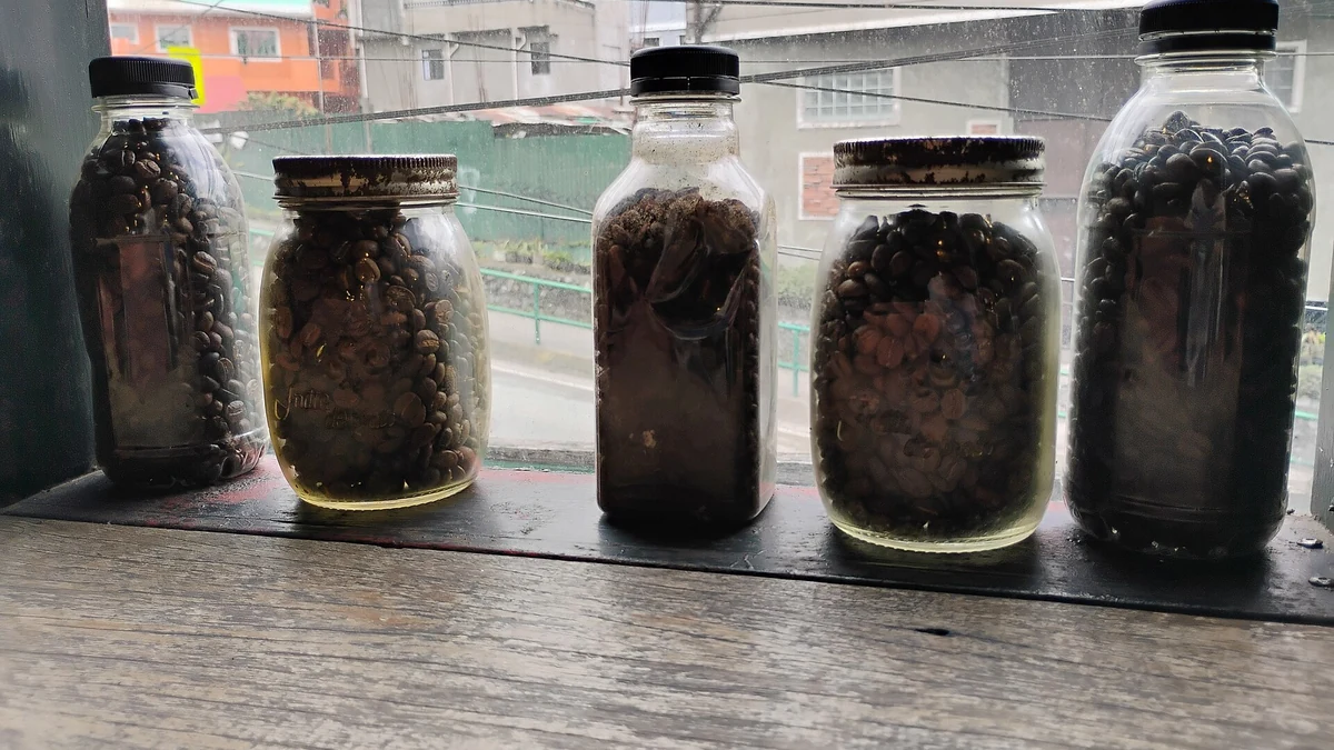 セブのカフェで2時間休む｜一人になりすぎない居場所の選び方