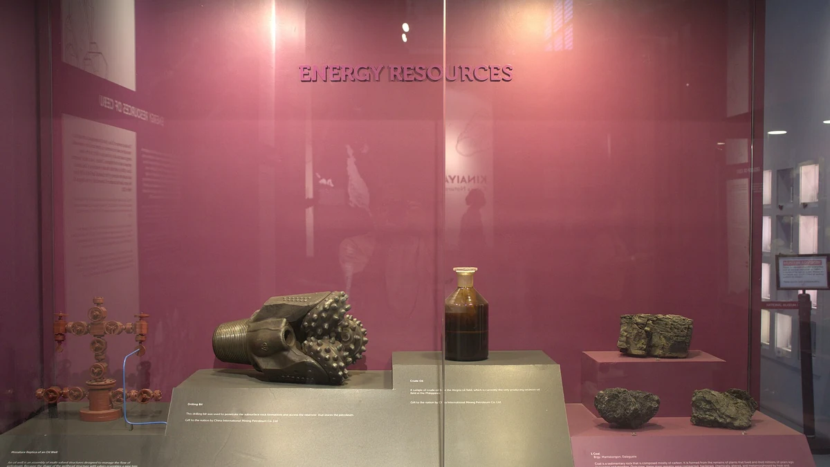 フィリピン国立博物館セブ館の展示ケース