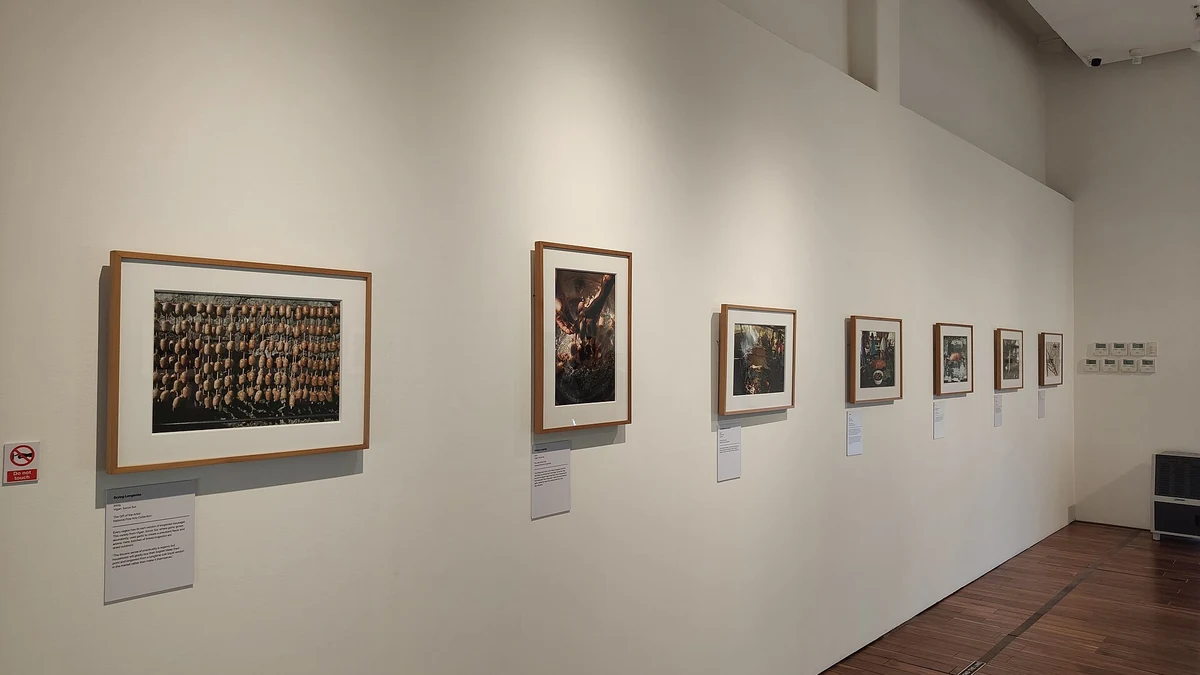 作品が並ぶ静かな展示室