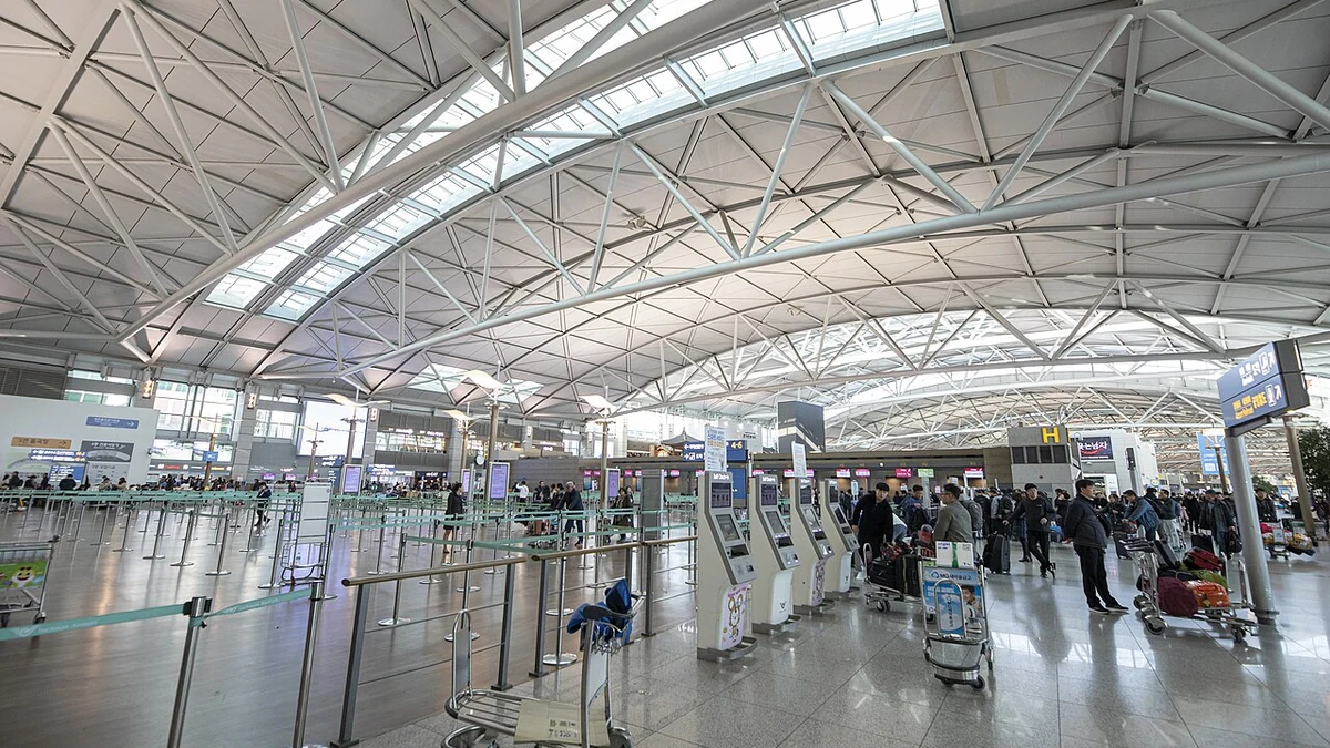 韓国からセブへの直行便はなぜ多い？ソウル・釜山の便数とセブ最大の海外市場を数字で見る
