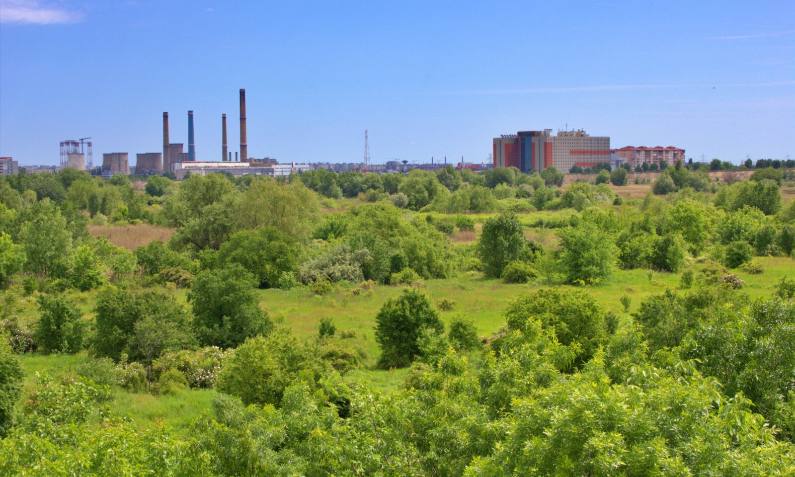 Mandaue Agri-Eco Park計画|Mantlewood向かいの公園整備と開園状況