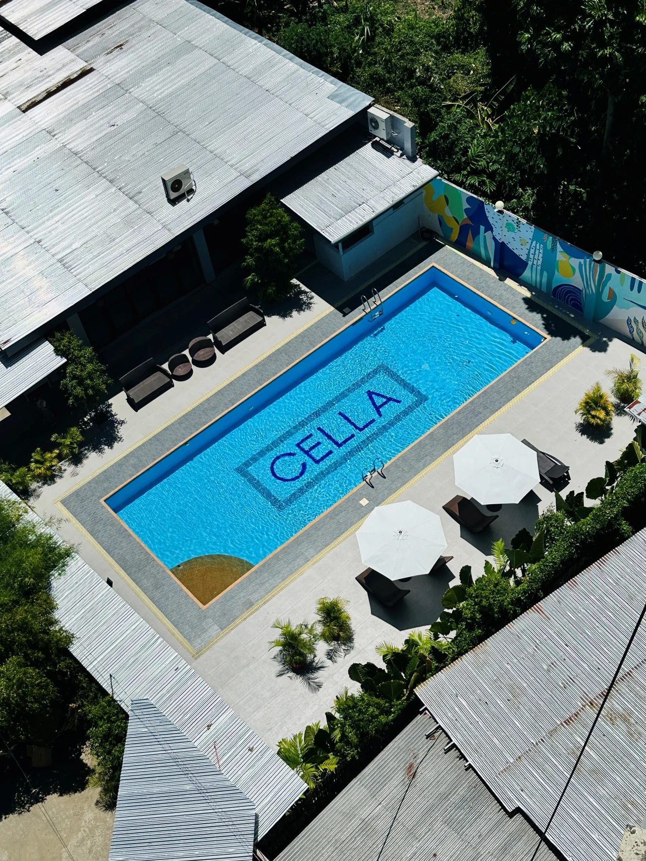 CELLA Uni校のプール