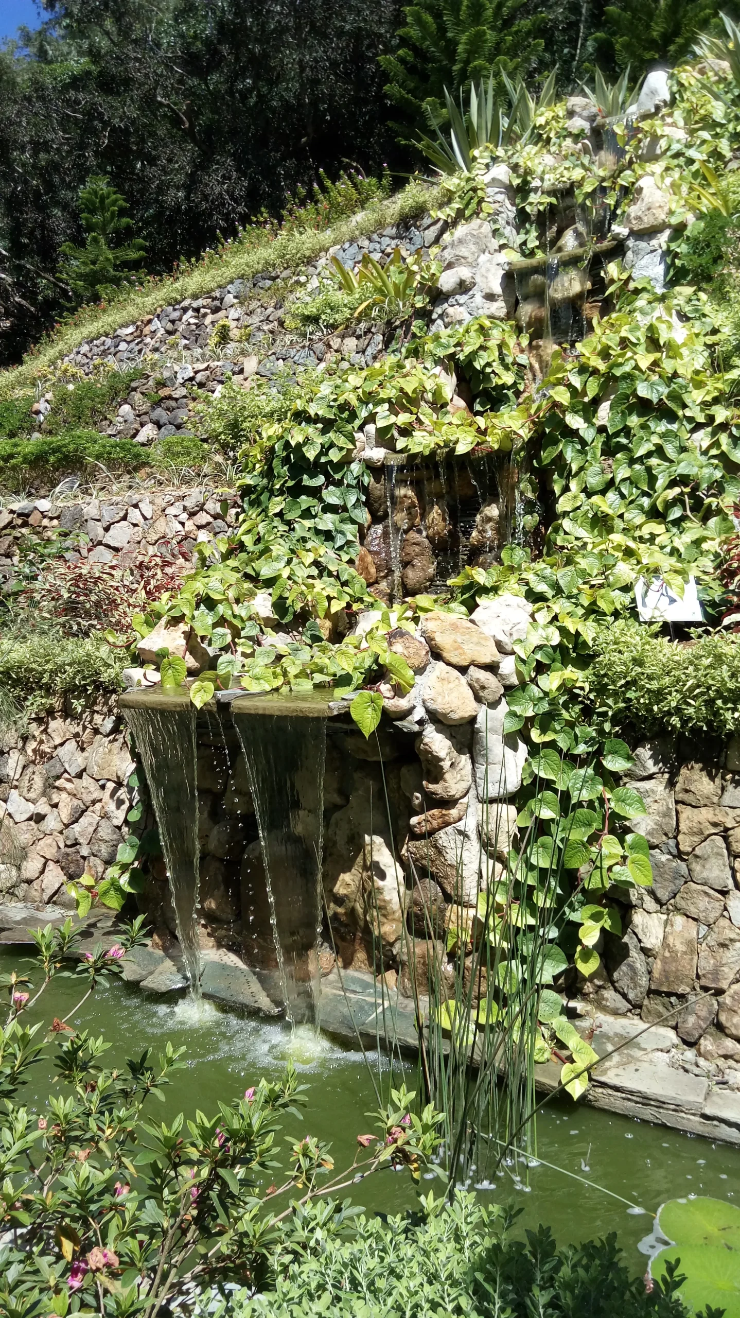 10 个地方来测试您是否可以在旅行时住在宿务 |在出国留学或长期居留之前进行生活方式检查