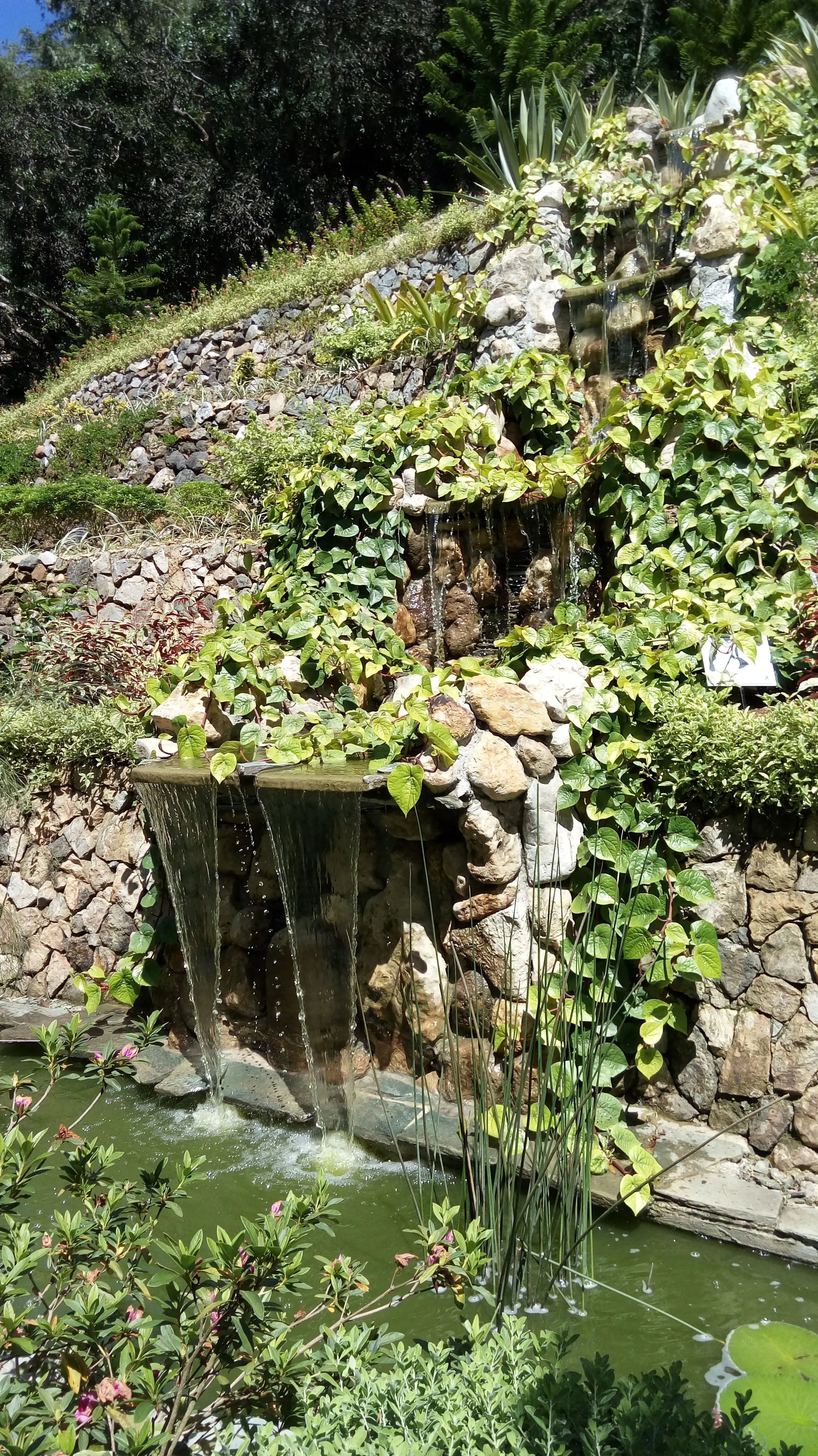 10 个地方来测试您是否可以在旅行时住在宿务 |在出国留学或长期居留之前进行生活方式检查