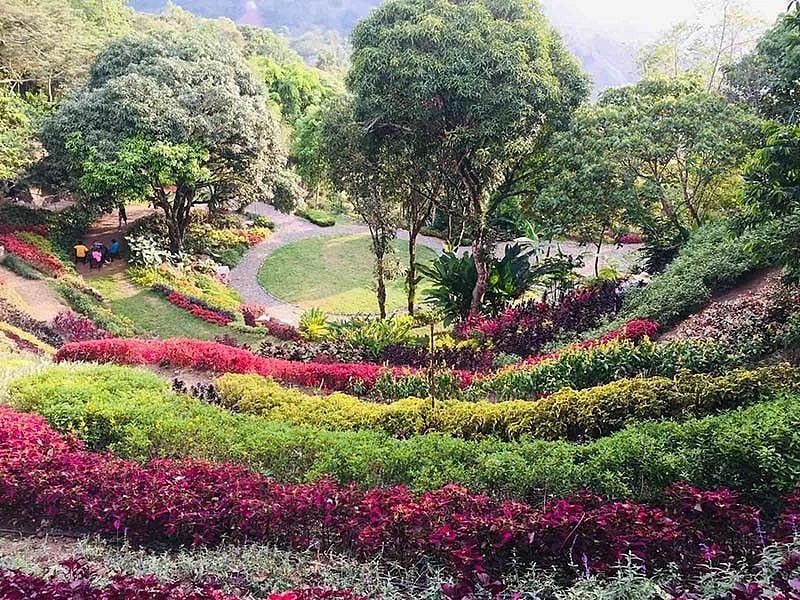 Lakeview Le Jardin花园步道与彩色植物