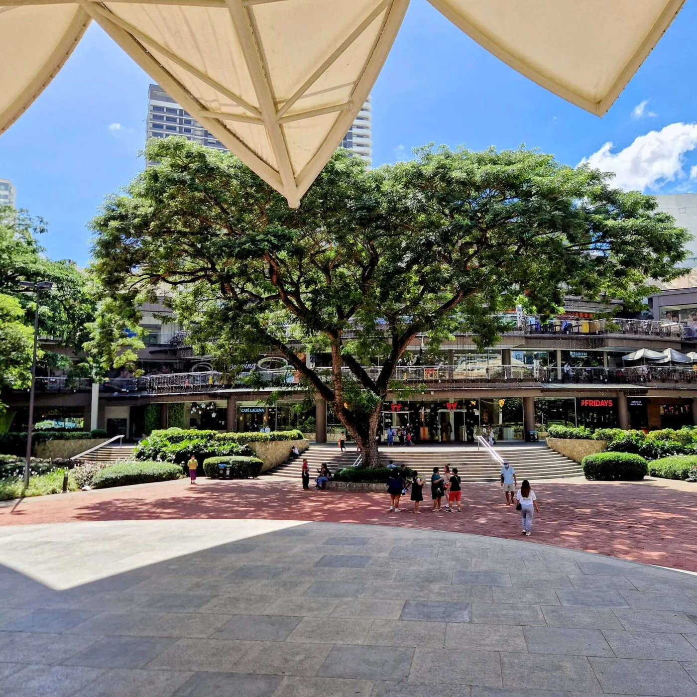 宿务菲律宾实景:超市货架与购物篮