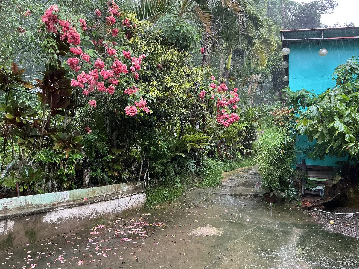 宿务天气怎么看?预报、雨云与PAGASA预警的确认顺序|出现雷雨信息时不要急着外出