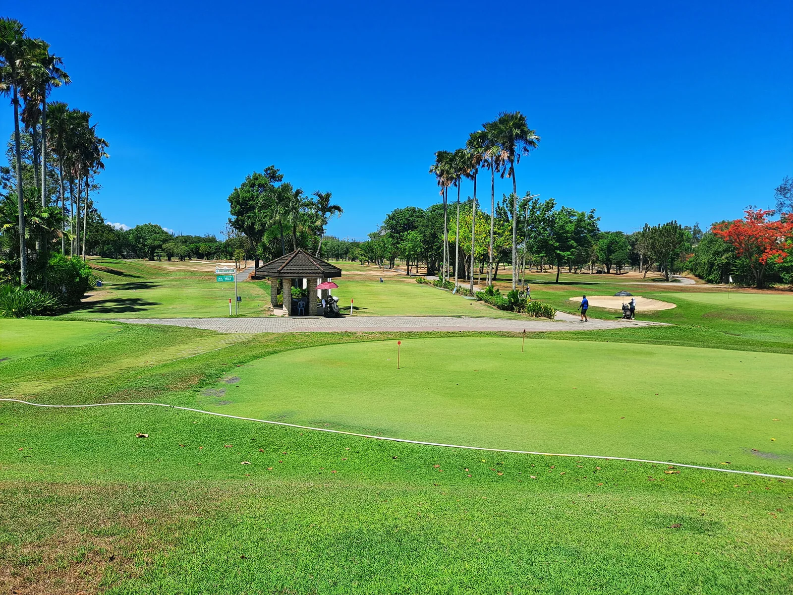 宿务Cebu Country Club球场概况：18洞72杆与树木、水域特点的正文配图3