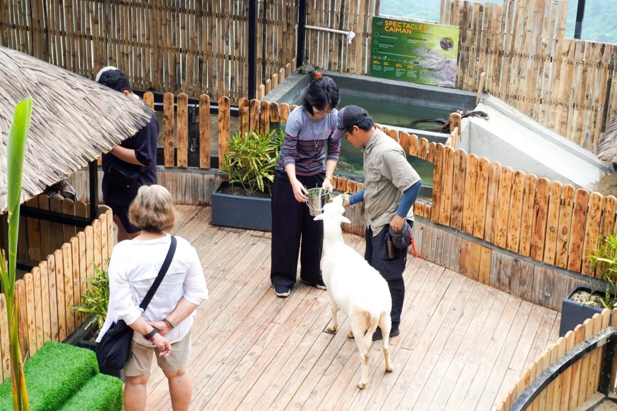 宿务市郊TOPS Petting Park:动物互动、喂食与学习体验指南的正文配图3