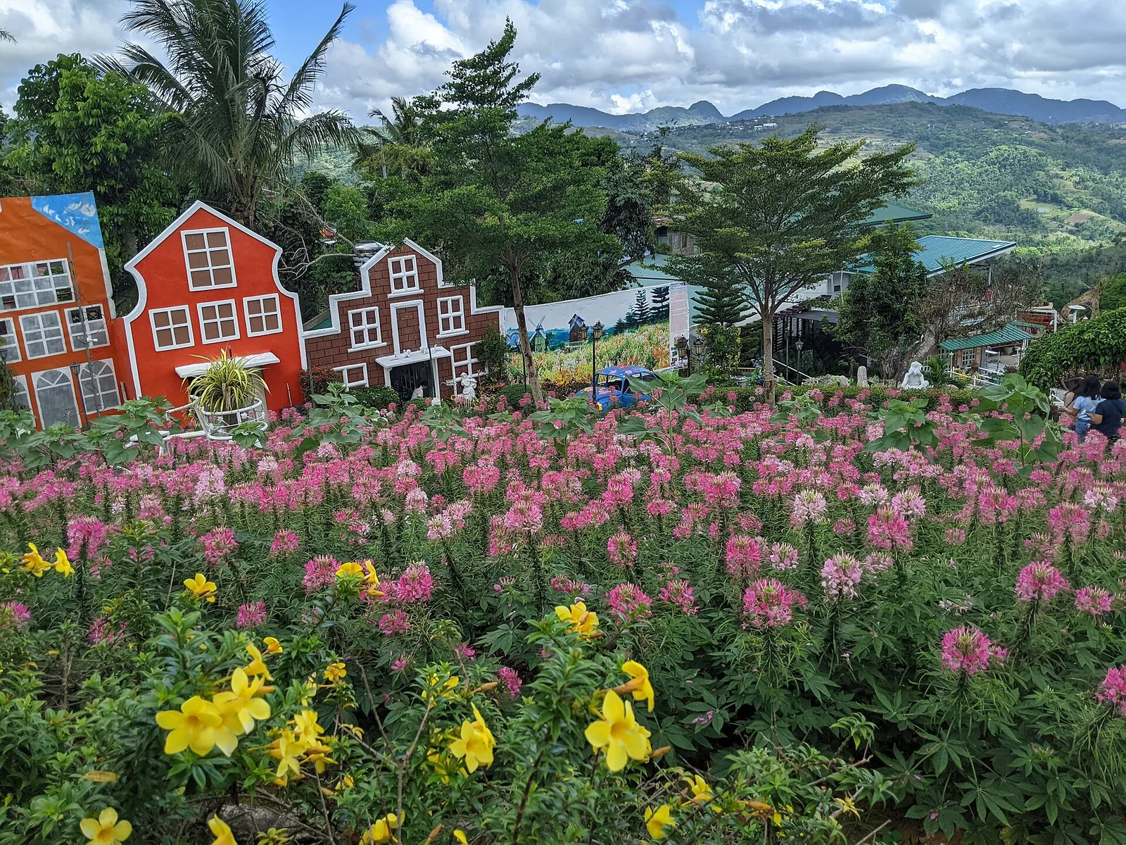宿务市郊Sirao的2个花园怎么选:Little Amsterdam与Pictorial Garden的区别的正文配图1