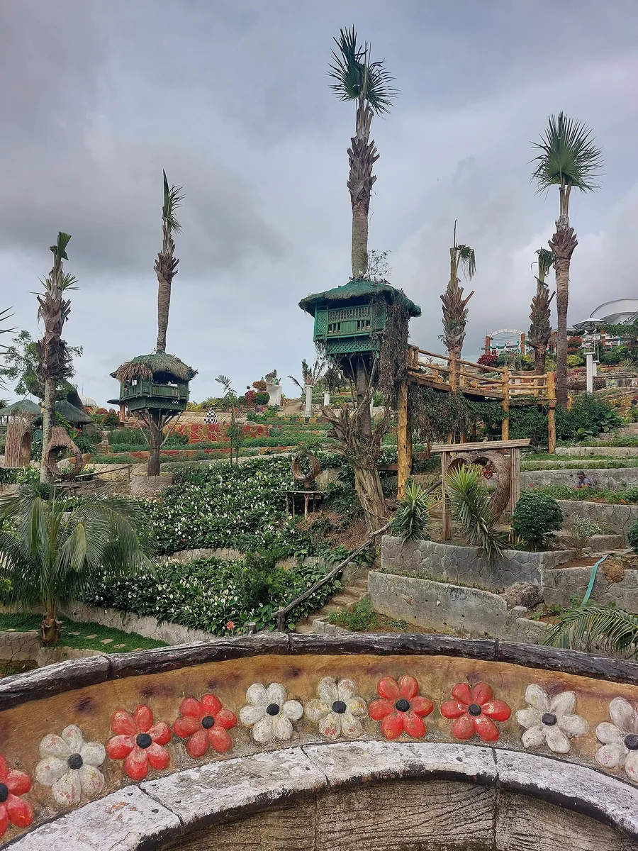 宿务市郊Sirao的2个花园怎么选:Little Amsterdam与Pictorial Garden的区别的正文配图3